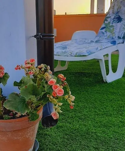 Дом отдыха Casa Solarium *